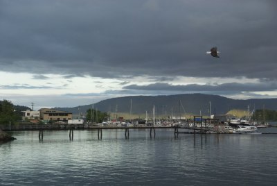 Pier in Queen Charlotte Village