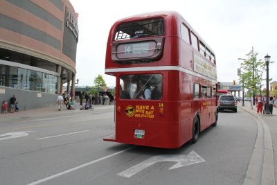 IMG_3474.jpg