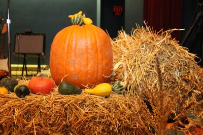 IMG_9122.jpg