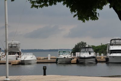 IMG_2979.jpg