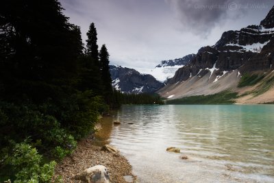 Bow Lake2.jpg