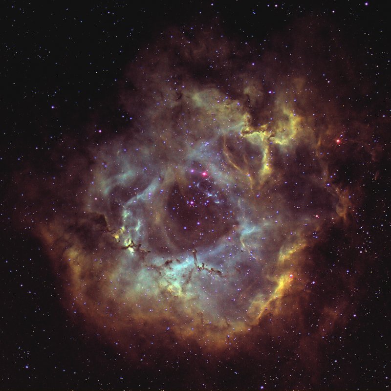 La Nbuleuse de la Rosette, NGC 2237
