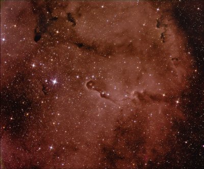 IC 1396 et la Trompe d'lphant