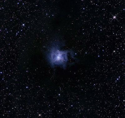 NGC 7023, la Nbuleuse de l'Iris