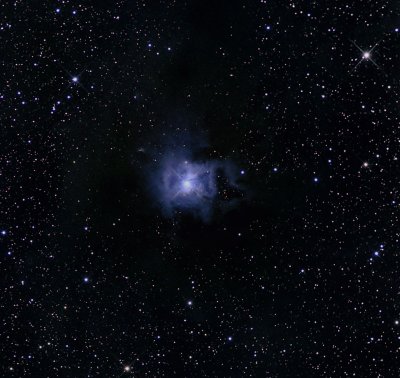 NGC 7023, la Nébuleuse de l'Iris