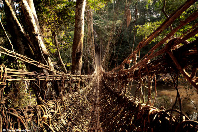 Dintorni di Seredou - Ponte di liane