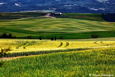 South Tuscan countryside