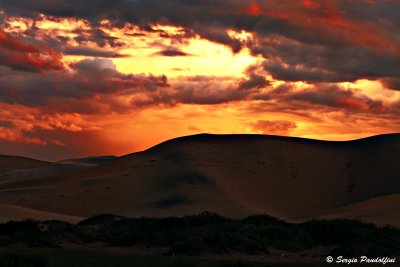 Gobi desert - Khongoriin Els