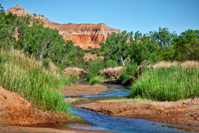 _MG_8159 Palo Duro Oasis.jpg