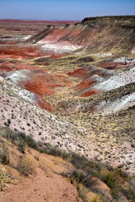 _MG_8462 Painted Desert.jpg