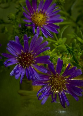 Salt Shaker Bouquet 2.jpg