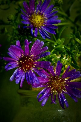 salt shaker bouquet 3.jpg