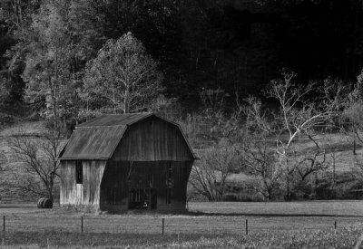_MG_1332.jpg