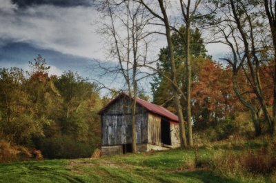 _MG_1805NIKs Artistic Barn.jpg