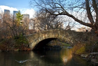 _MG_4228 Bridge in Central Park On A Saturday Morning.jpg