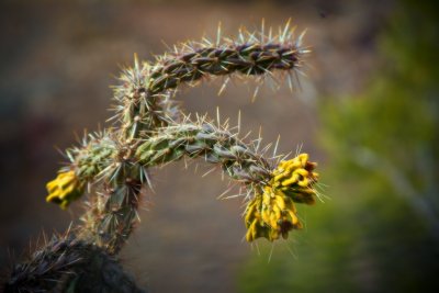 _MG_9323.jpg