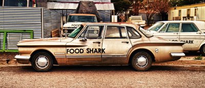 _MG_9645 What Is A Food Shark.jpg