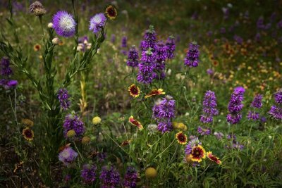 083 2 Pasture Bouquet.jpg