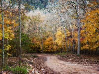 _MG_5013 Arkansas Country Road.jpg
