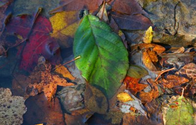 IMG_4019_edited-2.jpg