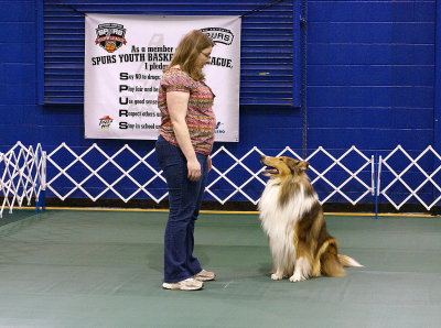AKC Rally and Obedience Trials