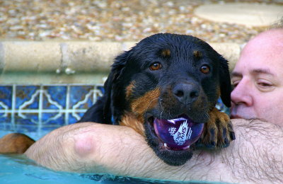 Brit is a water dog!...and she LOVES to get the ball!!