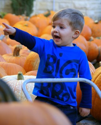 It's Pumpkin Patch time AGAIN!!!