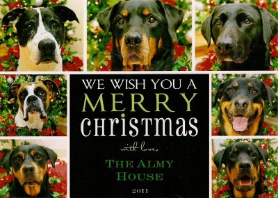 2011 Christmas card.jpg