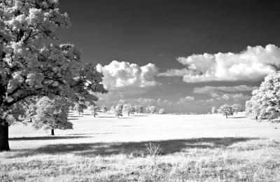 IMG_7860 720x480.jpg