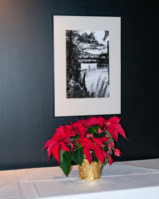 image-12.jpg