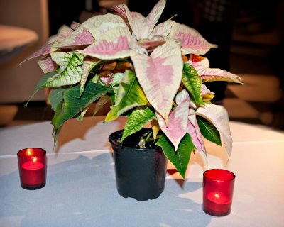 image-16.jpg