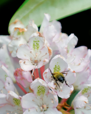 Image-43.jpg