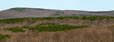 Image-4.jpg