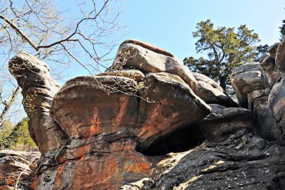 Image-7.jpg