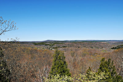 Image-9.jpg