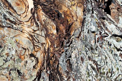 Image-14.jpg