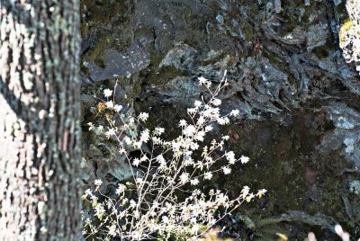 Image-18.jpg