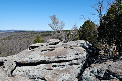 Image-50.jpg