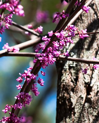 Image-66.jpg