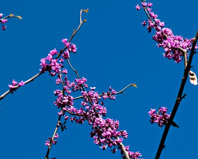 Image-68.jpg