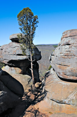 Image-94.jpg