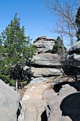 Image-111.jpg