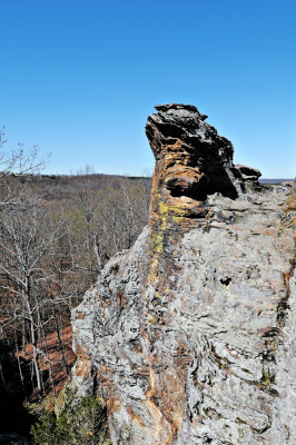 Image-114.jpg