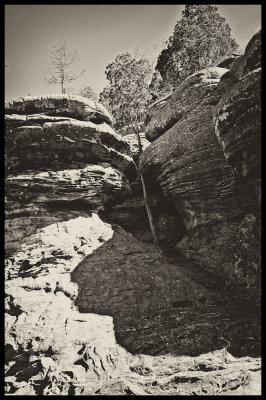 Image-1.jpg