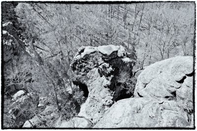 Image-23.jpg