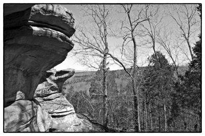 Image-58.jpg