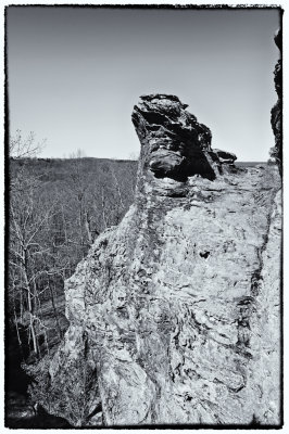 Image-82.jpg
