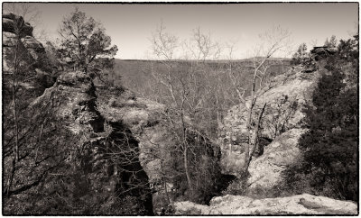 Image-2.jpg