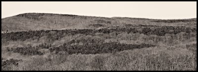 Image-4.jpg