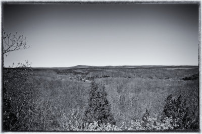 Image-8.jpg